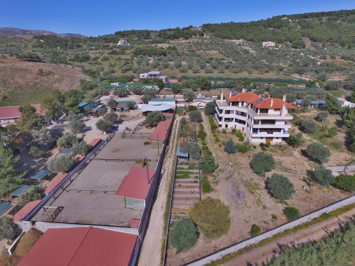 דירות Keratea Οδυσσεια, Κοντά Σε Αεροδρόμιο, Λιμάνια Και Θάλασσες מראה חיצוני תמונה