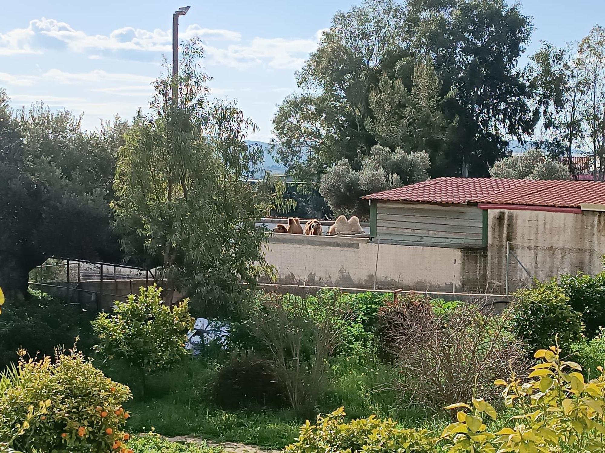 דירות Keratea Οδυσσεια, Κοντά Σε Αεροδρόμιο, Λιμάνια Και Θάλασσες מראה חיצוני תמונה